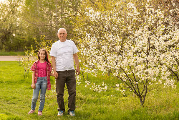 Adorable cute girl and grandfather walk in park. - Fotoğraf, Görsel