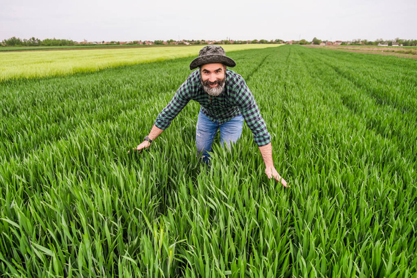 Happy farmer is standing in his growing wheat field. - Fotografie, Obrázek