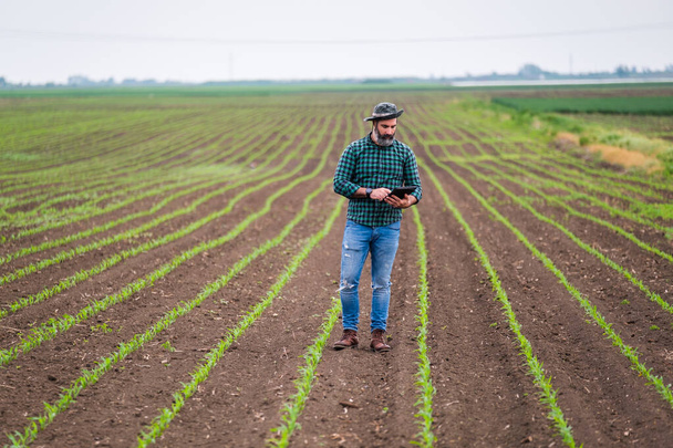Farmer using digital tablet while standing in his growing corn field. - Фото, изображение