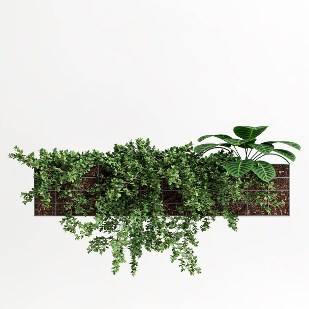3D иллюстрация стены ванны растения изолированы на белом фоне - Фото, изображение