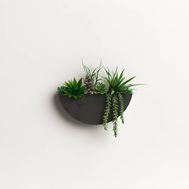 3d illustration  wall potted plant isolated on white background - Φωτογραφία, εικόνα