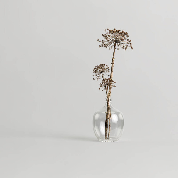 3d illustration of dried flowers decorative vase isolated on white background - Photo, image