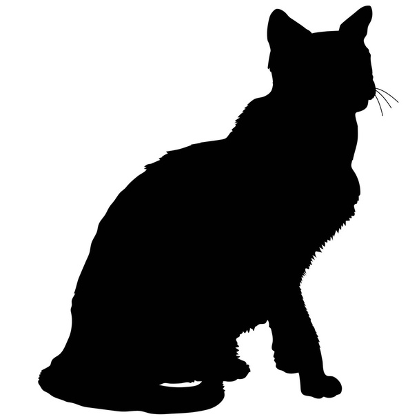 кошачий силуэт 2
 - Вектор,изображение
