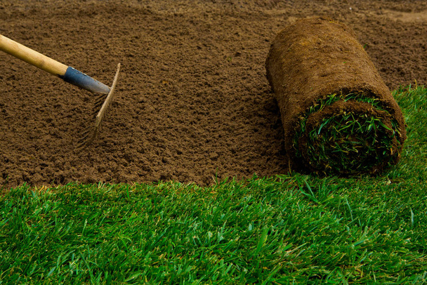Gardener preparing land and applying turf rollers - Foto, Imagen