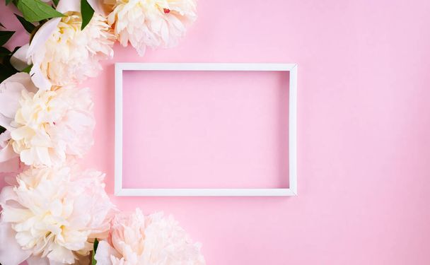 Beautiful cream peonys and white horizontal frame on pink background. Flat lay. Close up. Top view. Copy space. - Valokuva, kuva