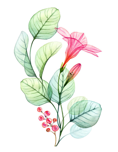 水彩透明ハイビスカスの花、ユーカリや果実。白で隔離されたカラフルな熱帯の花束。結婚式のデザインのための植物の花のイラスト、垂直カードテンプレート - 写真・画像