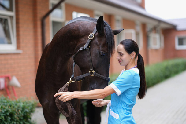 Veterinaria mujer hace examen médico de caballo en la granja - Foto, Imagen