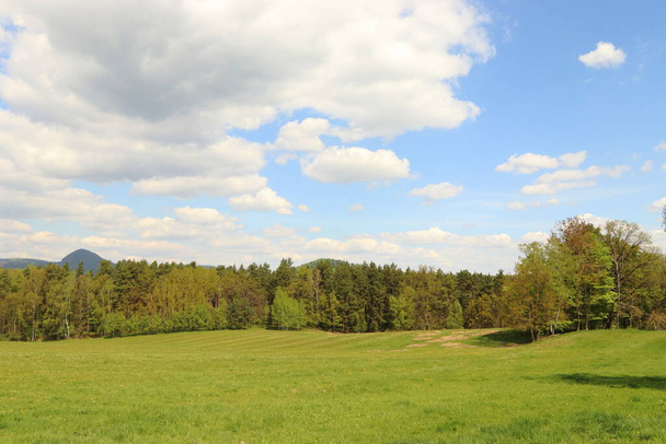 landschap met blauwe lucht en witte wolken, weide, bos en boom op de voorgrond, romantisch landschap - Foto, afbeelding