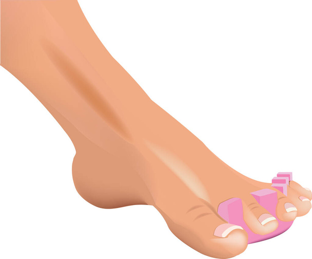 cosmetic skin care of the person pedicure - Vector, Image
