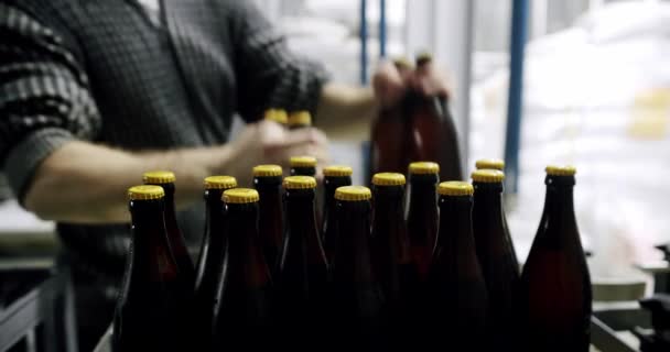 Plastic crates full of freshly brewed beer bottles on a factory pipeline. - Felvétel, videó