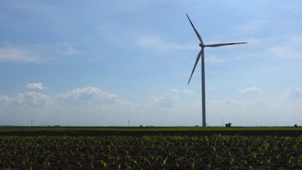 Vista de bajo ángulo en la gran turbina eólica como si estuviera en el campo agrícola entre los jóvenes pequeños maíz, girando y generando energía eléctrica renovable limpia para el desarrollo sostenible. - Metraje, vídeo
