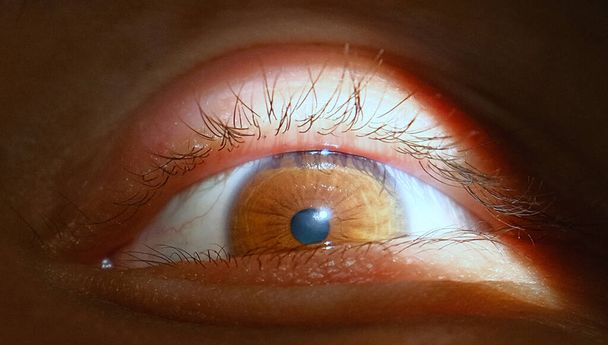 Деталі людського ока. око крупним планом
 - Фото, зображення