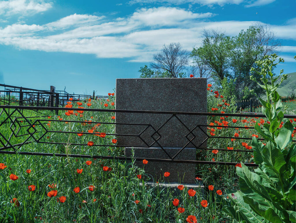 Tombstone in a field with natural scarlet poppies. Empty space for recording. - Fotoğraf, Görsel