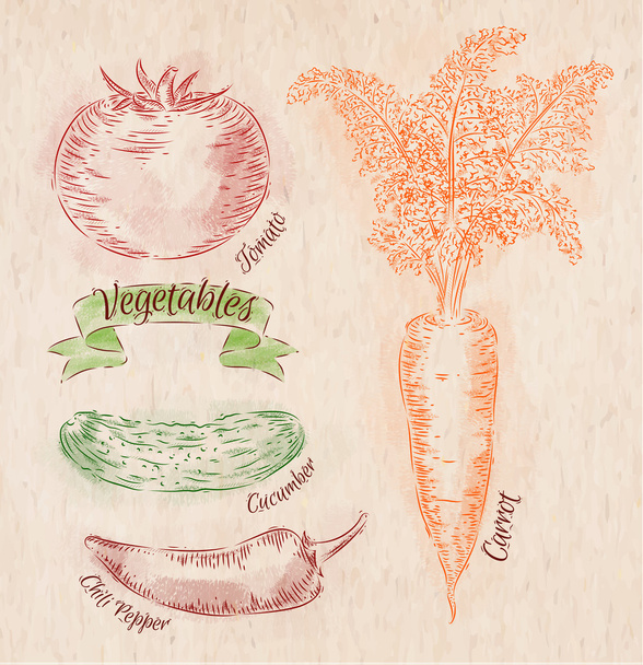 Vegetables carrot, tomato, chili peppers, cucumber country - Vector, Image