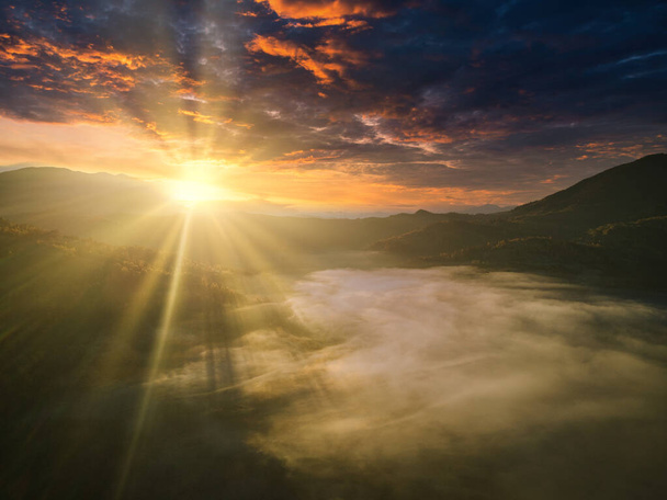 Ukraina. Wschód słońca w Karpatach, kolorowa mgła rozprzestrzenia się po dolinach i nizinach pasma górskiego, złote prerie są bardzo olśniewająco piękne. - Zdjęcie, obraz