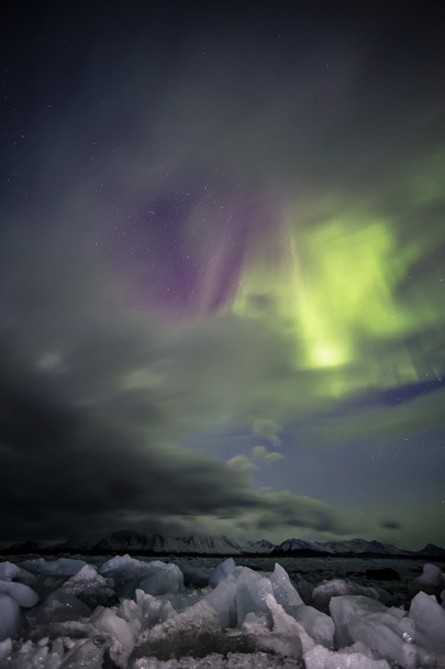 Phénomène naturel des aurores boréales (Aurora borealis) - photo verticale
 - Photo, image