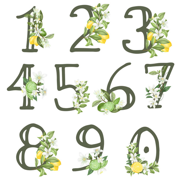 Set van bloemen nummers met citroen bloemen, bladeren en citroenen, geïsoleerde illustratie op witte achtergrond, voor bruiloft monogram, wenskaarten, logo - Foto, afbeelding