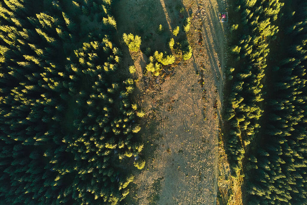 Aerial view of dark mixed pine and lush forest with green and yellow trees canopies in autumn mountain woods - Fotografie, Obrázek