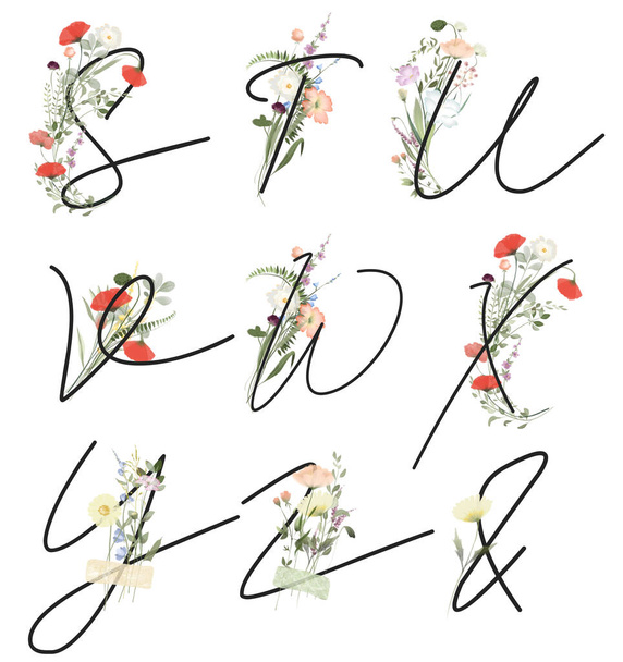 Set di lettere floreali S-Z con fiori di campo e piante da prato, illustrazione isolata su sfondo bianco, per monogramma di nozze, auguri e biglietti da visita, logo - Foto, immagini