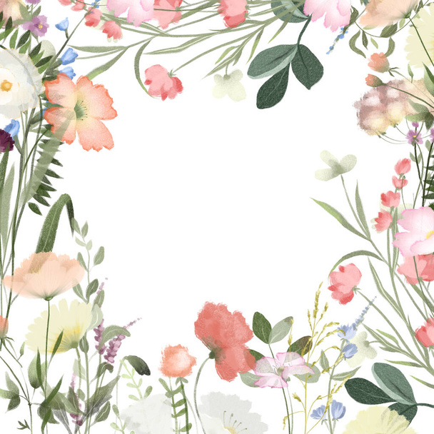Borde de marco floral, plantilla de tarjeta de acuarela flores silvestres y plantas del prado, ilustraciones sobre un fondo blanco, diseño para tarjetas e invitaciones - Foto, Imagen