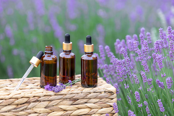 Amber essentiële lavendel olie fles. Violette lavendelvelden in de Provence. - Foto, afbeelding