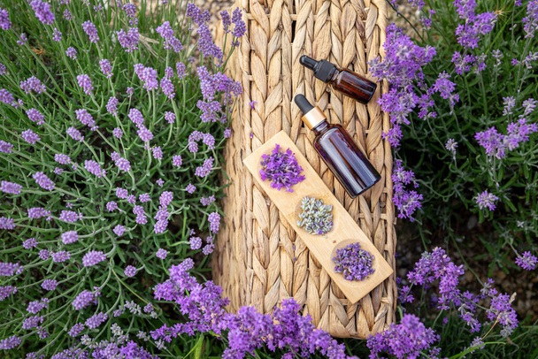 Borostyán esszenciális levendula olaj palack. Violet lavthe mező Provence-ban. - Fotó, kép