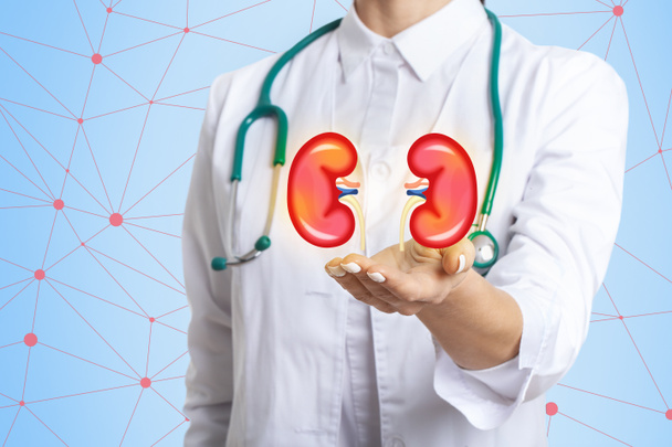 Doctor and kidneys on virtual screen against light blue background, closeup - Foto, Bild