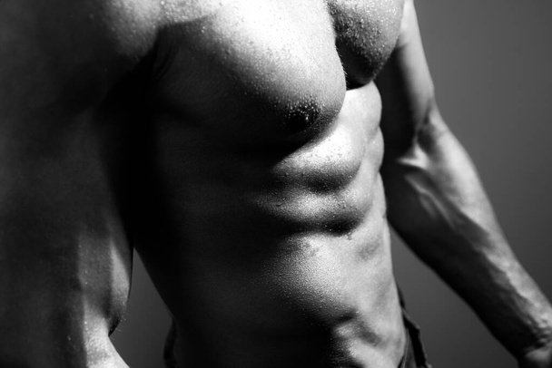 Cropped image of fit man showing six pack abs. Men abs. Fitness abdominal muscle. Man six pack. - Fotografie, Obrázek