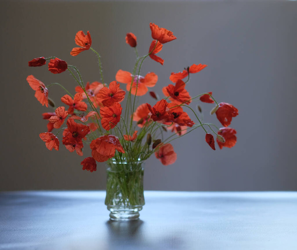 Bouquet of flowers in a glass. Red poppies are wildflowers. - Foto, afbeelding