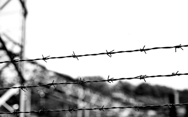three barbed wires in a prison camp for the segregation of prisoners and to prevent prisoners from escaping - Foto, Imagen