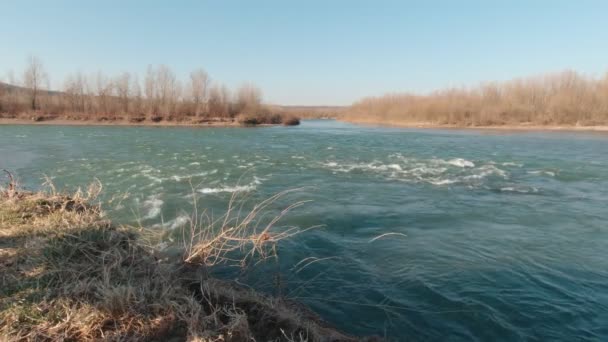 A palack úszik a folyón Lassú mozgás - Felvétel, videó