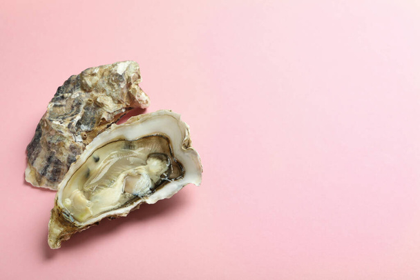 Concept de délicieux fruits de mer, huîtres sur fond rose - Photo, image