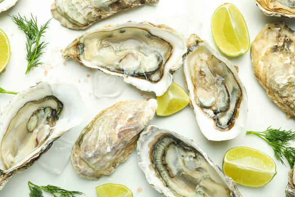 Concept of delicious seafood, oysters, close up - Photo, Image