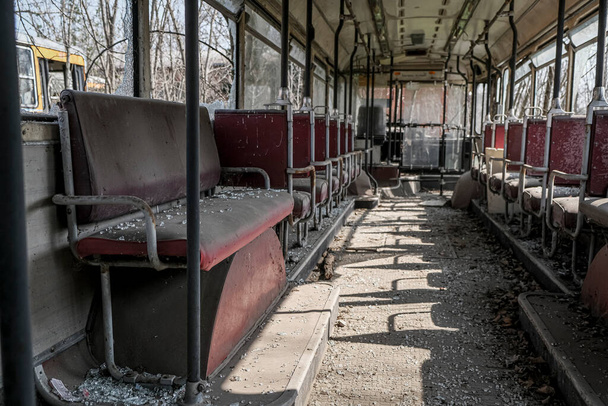 abandoned school bus tram bus interior with leaves branches vegetation. High quality photo - Фото, изображение