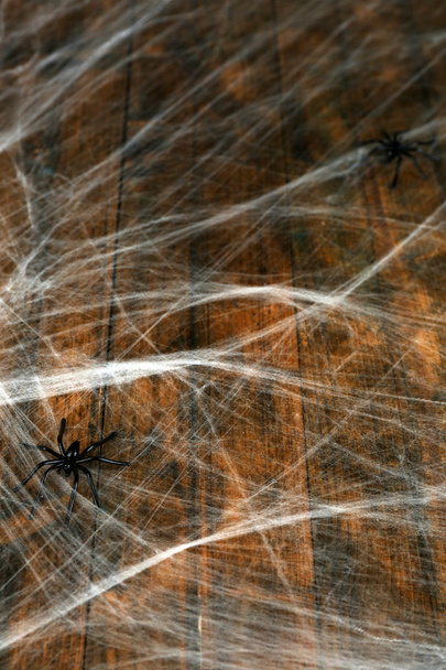 Cobweb with black spiders - 写真・画像