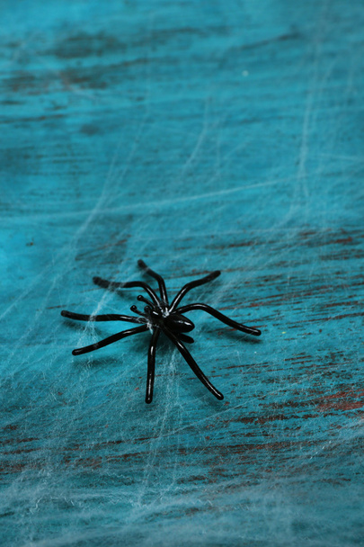 Cobweb with black spider - Фото, зображення