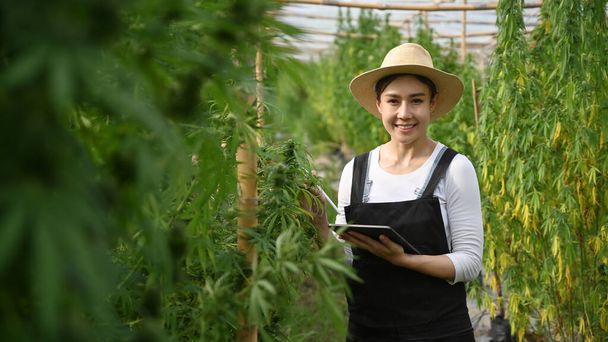 Smiling young smart farmer holding digital tablet and standing in cannabis field at sunset. Agriculture and herbal medicine concept - Photo, image