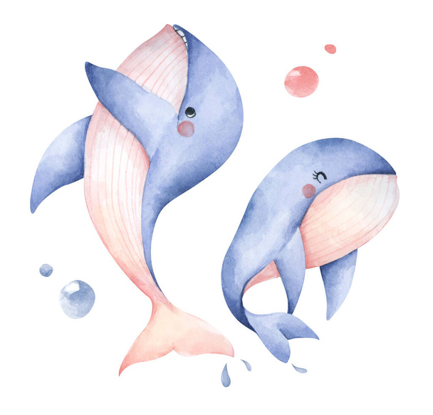 Set di simpatiche balene azzurre. Isolato su sfondo bianco. Arte animale subacquea. Illustrazione ad acquerello. - Foto, immagini