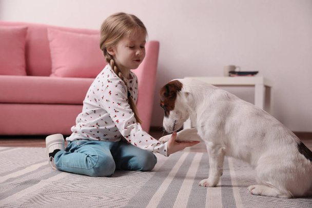 Cute little girl playing with her dog at home. Childhood pet - Valokuva, kuva