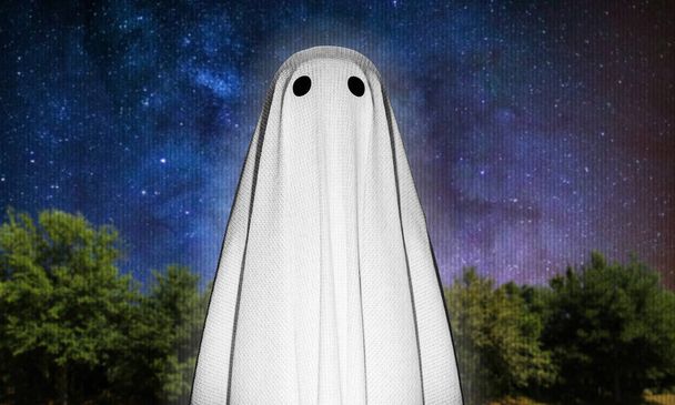 3d illustration of a ghost in the wood  - Foto, Imagen
