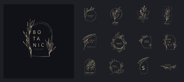 Set of minimal feminine botanical floral frame or logo. Hand drawn wedding herb, homeplant with elegant leaves. Botanical rustic trendy greenery vector illustration - Вектор,изображение