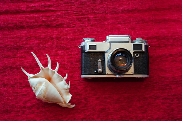 An old Soviet film camera and a beautiful sea light shell lie on a textured red paper - Photo, Image