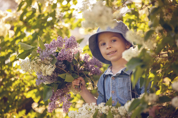 Stylish preshcool child, cute boy, enjoying lilac flowers bush in blooming garden on sunset - Foto, Imagem