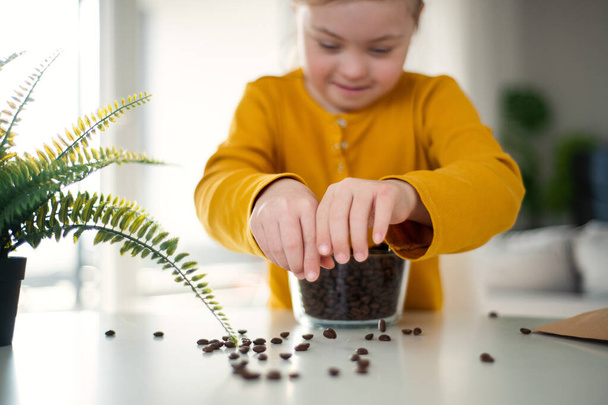 Little girl with Down syndrome sitting at table with bowl full of coffee beans at home. - Foto, Bild