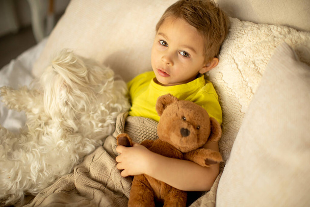 Cute little preschool boy with his pet dog, playing together in bed at home - Foto, Bild