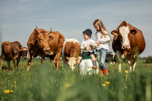 Deux enfants fermiers authentiques boivent du lait en gardant du verre dans son lait à la main dans un champ verdoyant avec des fleurs par une journée d'été ensoleillée. produits laitiers biologiques. - Photo, image