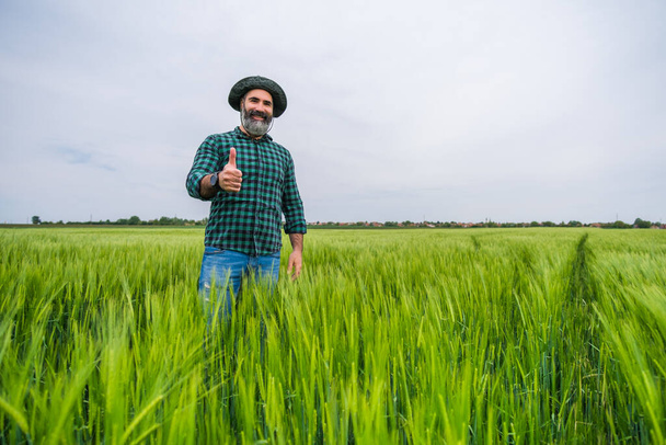 Happy farmer showing thumb up while  standing in his growing wheat field. - Фото, зображення