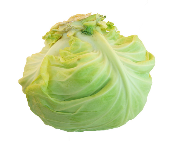 Cabbage on white - 写真・画像