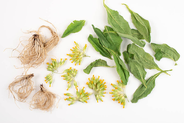 Dried roots, leaves and flowers of common cowslip, Primula veris, isolated on white background, top view. - Fotó, kép