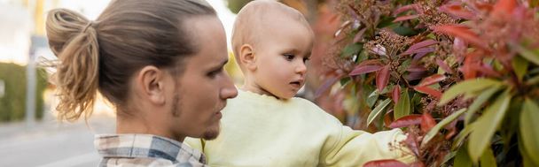 幼児の女の子は、屋外の父の近くの植物に触れる、バナー  - 写真・画像